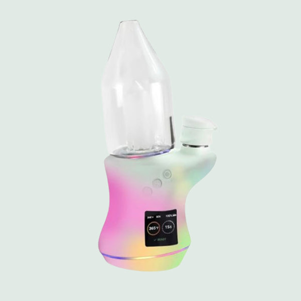 Focus V Carta 2 E-Rig nur €339