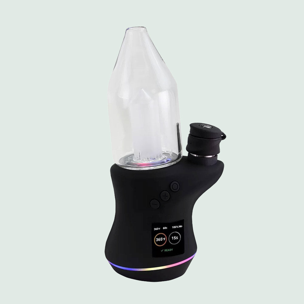 Focus V Carta 2 E-Rig nur €339